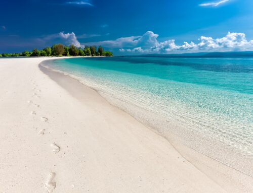 Se avessi 53 minuti in più alla settimana, cosa faresti?