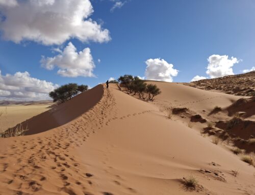 Camminare sulle orme degli altri