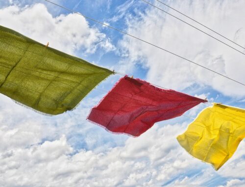 W la lavatrice. Lunga vita alla lavatrice!